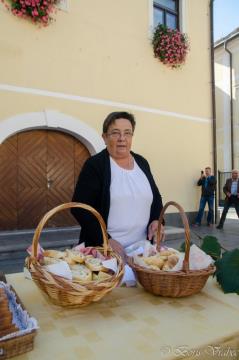 Trgatev stare trte 6